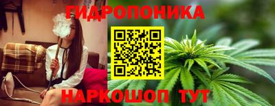 марихуана Будённовск