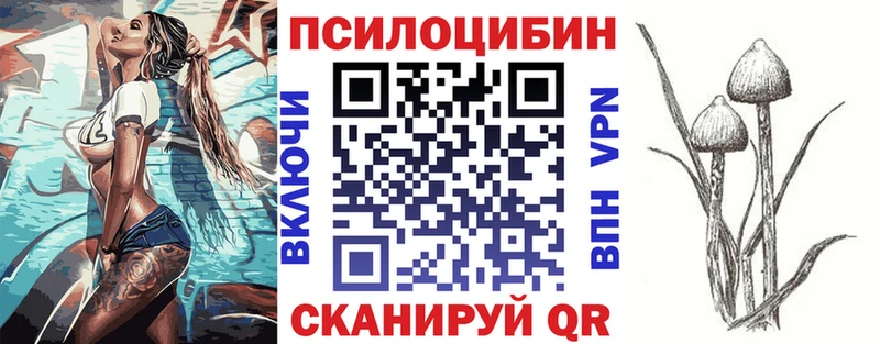 hydra как войти Горячий Ключ Галлюциногенные грибы Psilocybine cubensis
