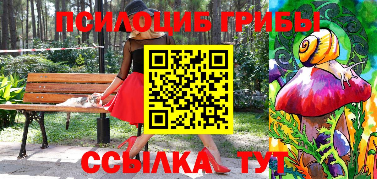 Галлюциногенные грибы GOLDEN TEACHER  цены наркотик  Горячий Ключ  Псилоцибиновые грибы ЛСД  Вход с VPN 