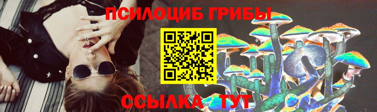 Галлюциногенные грибы Psilocybe  где купить наркотик  Горячий Ключ  Псилоцибиновые грибы мицелий 